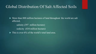Global Distribution Of Salt Affected Soils
 More than 800 million hectares of land throughout the world are salt
affected,
salinity (397 million hectare)
sodicity (434 million hectare)
 This is over 6% of the world’s total land area.
 
