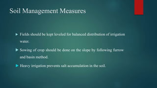 Soil Management Measures
 Fields should be kept leveled for balanced distribution of irrigation
water.
 Sowing of crop should be done on the slope by following furrow
and basin method.
 Heavy irrigation prevents salt accumulation in the soil.
 