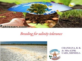 Breeding for salinity tolerance
CHANDANA, B. R.
Jr. MSc (GPB)
UAHS, SHIMOGA
 