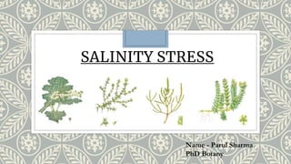 SALINITY STRESS
Name - Parul Sharma
PhD Botany
 