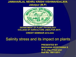1
JAWAHARLAL NEHRU KRISHI VISHWAVIDALAYA
Jabalpur (M.P)
CREDIT SEMINAR 2019-2020
PRESENTED BY
MADHANA KEERTHANA S
M.Sc.(Ag.) Final year
Roll No. 180112011
DEPARTMENT OF PLANT PHYSIOLOGY
COLLEGE OF AGRICULTURE JABALPUR (M.P)
Salinity stress and its impact on plants
 