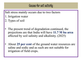 Causes for soil salinity
Salt stress mainly occurs due to two factors
1. Irrigation water
2. Types of soil
• The present trend of degradation continued, the
projections are that India will have 11.7 M ha area
affected by soil salinity and alkalinity. (2025)
• About 25 per cent of the ground water resources are
saline and sodic and as such are not suitable for
irrigation of field crops.
 