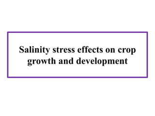 Salinity stress effects on crop
growth and development
 