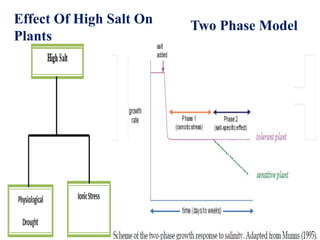 Two Phase ModelEffect Of High Salt On
Plants
 