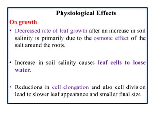 Physiological Effects
On growth
• Decreased rate of leaf growth after an increase in soil
salinity is primarily due to the osmotic effect of the
salt around the roots.
• Increase in soil salinity causes leaf cells to loose
water.
• Reductions in cell elongation and also cell division
lead to slower leaf appearance and smaller final size
 