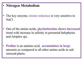• Nitrogen Metabolism
• The key enzyme, nitrate reductase is very sensitive to
NaCl .
• One of the amino acids, glycinebetaine shows increased
trend with increase in salinity in perennial halophytes
and Atriplex sps.
• Proline is an αamino acid, accumulates in large
amounts as compared to all other amino acids in salt
stressed plants.
 