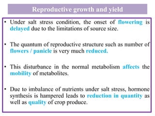 Reproductive growth and yield
• Under salt stress condition, the onset of flowering is
delayed due to the limitations of source size.
• The quantum of reproductive structure such as number of
flowers / panicle is very much reduced.
• This disturbance in the normal metabolism affects the
mobility of metabolites.
• Due to imbalance of nutrients under salt stress, hormone
synthesis is hampered leads to reduction in quantity as
well as quality of crop produce.
 