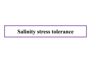 Salinity stress tolerance
 