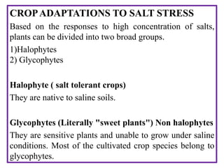 CROPADAPTATIONS TO SALT STRESS
Based on the responses to high concentration of salts,
plants can be divided into two broad groups.
1)Halophytes
2) Glycophytes
Halophyte ( salt tolerant crops)
They are native to saline soils.
Glycophytes (Literally "sweet plants") Non halophytes
They are sensitive plants and unable to grow under saline
conditions. Most of the cultivated crop species belong to
glycophytes.
 