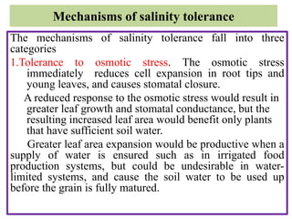 Mechanisms of salinity tolerance
The mechanisms of salinity tolerance fall into three
categories
1.Tolerance to osmotic stress. The osmotic stress
immediately reduces cell expansion in root tips and
young leaves, and causes stomatal closure.
A reduced response to the osmotic stress would result in
greater leaf growth and stomatal conductance, but the
resulting increased leaf area would benefit only plants
that have sufficient soil water.
Greater leaf area expansion would be productive when a
supply of water is ensured such as in irrigated food
production systems, but could be undesirable in water-
limited systems, and cause the soil water to be used up
before the grain is fully matured.
 