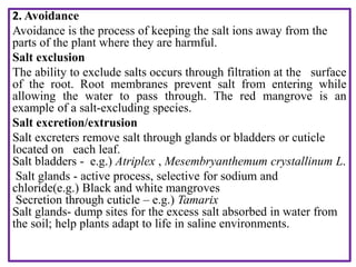 2. Avoidance
Avoidance is the process of keeping the salt ions away from the
parts of the plant where they are harmful.
Salt exclusion
The ability to exclude salts occurs through filtration at the surface
of the root. Root membranes prevent salt from entering while
allowing the water to pass through. The red mangrove is an
example of a salt-excluding species.
Salt excretion/extrusion
Salt excreters remove salt through glands or bladders or cuticle
located on each leaf.
Salt bladders - e.g.) Atriplex , Mesembryanthemum crystallinum L.
Salt glands - active process, selective for sodium and
chloride(e.g.) Black and white mangroves
Secretion through cuticle – e.g.) Tamarix
Salt glands- dump sites for the excess salt absorbed in water from
the soil; help plants adapt to life in saline environments.
 