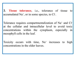 3. Tissue tolerance, i.e., tolerance of tissue to
accumulated Na+, or in some species, to Cl-.
Tolerance requires compartmentalization of Na+ and Cl-
at the cellular and intracellular level to avoid toxic
concentrations within the cytoplasm, especially in
mesophyll cells in the leaf.
Toxicity occurs with time, Na+ increases to high
concentrations in the older leaves.
 