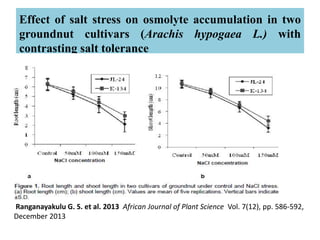 Effect of salt stress on osmolyte accumulation in two
groundnut cultivars (Arachis hypogaea L.) with
contrasting salt tolerance
Ranganayakulu G. S. et al. 2013 African Journal of Plant Science Vol. 7(12), pp. 586-592,
December 2013
 