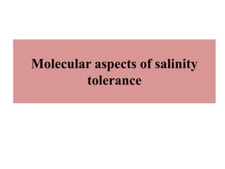Molecular aspects of salinity
tolerance
 