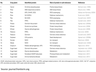 Source: journal.frontierin.org
 