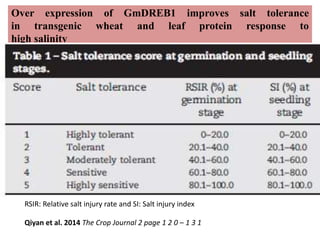 Over expression of GmDREB1 improves salt tolerance
in transgenic wheat and leaf protein response to
high salinity
Qiyan et al. 2014 The Crop Journal 2 page 1 2 0 – 1 3 1
RSIR: Relative salt injury rate and SI: Salt injury index
 