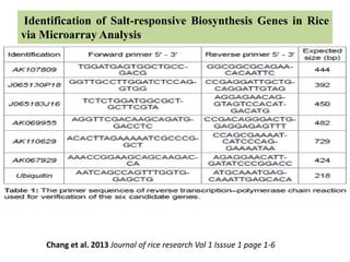 Identification of Salt-responsive Biosynthesis Genes in Rice
via Microarray Analysis
Chang et al. 2013 Journal of rice research Vol 1 Isssue 1 page 1-6
 