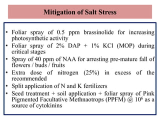 Mitigation of Salt Stress
• Foliar spray of 0.5 ppm brassinolide for increasing
photosynthetic activity
• Foliar spray of 2% DAP + 1% KCl (MOP) during
critical stages
• Spray of 40 ppm of NAA for arresting pre-mature fall of
flowers / buds / fruits
• Extra dose of nitrogen (25%) in excess of the
recommended
• Split application of N and K fertilizers
• Seed treatment + soil application + foliar spray of Pink
Pigmented Facultative Methnaotrops (PPFM) @ 106 as a
source of cytokinins
 