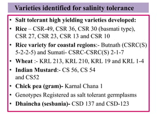 • Salt tolerant high yielding varieties developed:
• Rice – CSR-49, CSR 36, CSR 30 (basmati type),
CSR 27, CSR 23, CSR 13 and CSR 10
• Rice variety for coastal regions:- Butnath (CSRC(S)
5-2-2-5) and Sumati- CSRC-CSRC(S) 2-1-7
• Wheat :- KRL 213, KRL 210, KRL 19 and KRL 1-4
• Indian Mustard:- CS 56, CS 54
and CS52
• Chick pea (gram)- Karnal Chana 1
• Genotypes Registered as salt tolerant germplasms
• Dhaincha (sesbania)- CSD 137 and CSD-123
Varieties identified for salinity tolerance
 