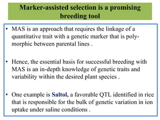 Marker-assisted selection is a promising
breeding tool
• MAS is an approach that requires the linkage of a
quantitative trait with a genetic marker that is poly-
morphic between parental lines .
• Hence, the essential basis for successful breeding with
MAS is an in-depth knowledge of genetic traits and
variability within the desired plant species .
• One example is Saltol, a favorable QTL identified in rice
that is responsible for the bulk of genetic variation in ion
uptake under saline conditions .
 