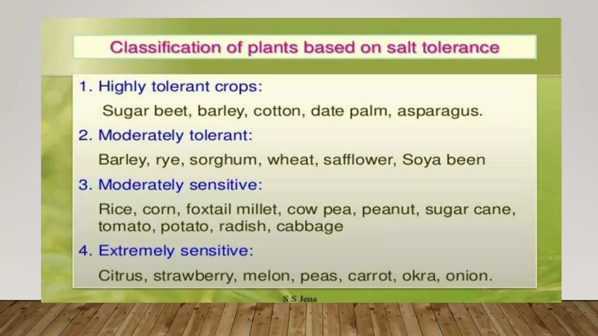 Salinity Tolerance in Plants.pptx