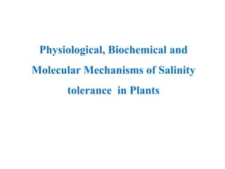 Physiological, Biochemical and
Molecular Mechanisms of Salinity
tolerance in Plants
 