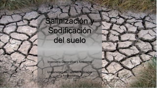 Salinización y
Sodificación
del suelo
Ingeniería Geográfica y Ambiental
Universidad de Ciencias Aplicadas
y Ambientales
 