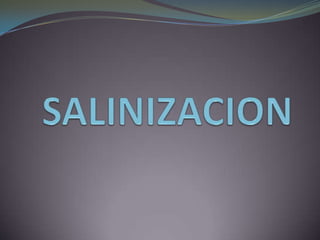 SALINIZACION 