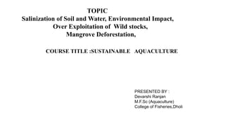 COURSE TITLE :SUSTAINABLE AQUACULTURE
PRESENTED BY :
Devarshi Ranjan
M.F.Sc (Aquaculture)
College of Fisheries,Dholi
TOPIC
Salinization of Soil and Water, Environmental Impact,
Over Exploitation of Wild stocks,
Mangrove Deforestation,
 