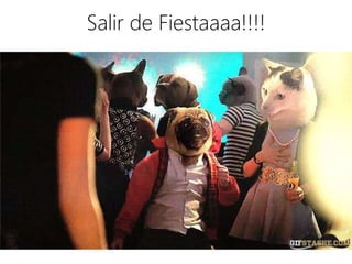 Salir de Fiestaaaa!!!!
 