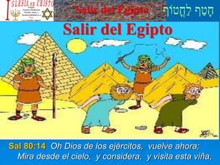 Salir del Egipto
Salir del Egipto
Sal 80:14 Oh Dios de los ejércitos, vuelve ahora;
Mira desde el cielo, y considera, y visita esta viña,
 