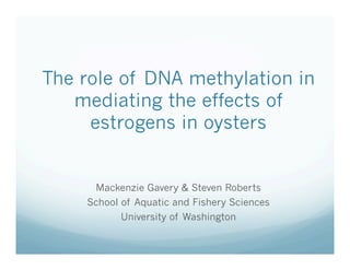 The role of DNA methylation in
mediating the effects of
estrogens in oysters
Mackenzie Gavery & Steven Roberts
School of Aquatic and Fishery Sciences
University of Washington
 