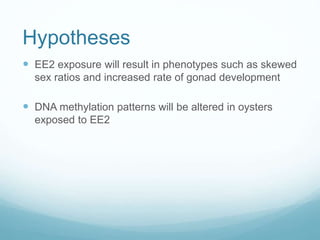 Hypotheses
 EE2 exposure will result in phenotypes such as skewed
sex ratios and increased rate of gonad development
 DNA methylation patterns will be altered in oysters
exposed to EE2
 