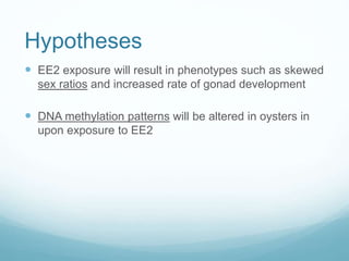 Hypotheses
 EE2 exposure will result in phenotypes such as skewed
sex ratios and increased rate of gonad development
 DNA methylation patterns will be altered in oysters in
upon exposure to EE2
 