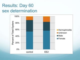 Results: Day 60
sex determination
0%
20%
40%
60%
80%
100%
control EE2
PercentofTotalOysters
Hermaphrodite
Unknown
Male
Female
 