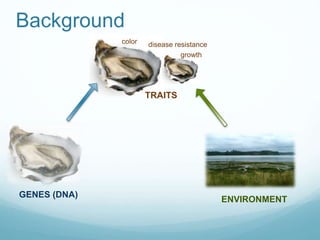 GENES (DNA)
TRAITS
color
growth
disease resistance
ENVIRONMENT
Background
 