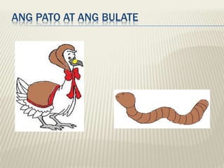 ANG PATO AT ANG BULATE
 