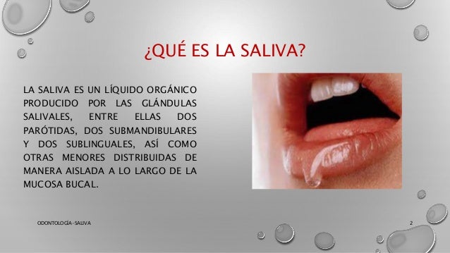 Saliva Odontología