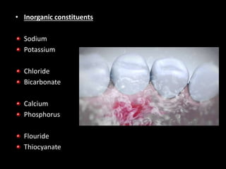 • Inorganic constituents
Sodium
Potassium
Chloride
Bicarbonate
Calcium
Phosphorus
Flouride
Thiocyanate
 