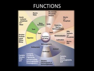FUNCTIONS
 