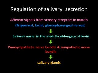 Regulation of salivary secretion
Afferent signals from sensory receptors in mouth
(Trigeminal, facial, glossopharyngeal nerves)
Salivary nuclei in the medulla oblongata of brain
Parasympathetic nerve bundle & sympathetic nerve
bundle
salivary glands
 