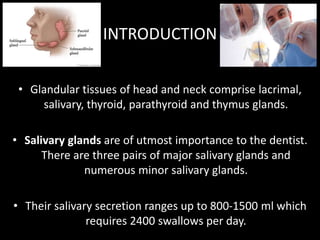INTRODUCTION
• Glandular tissues of head and neck comprise lacrimal,
salivary, thyroid, parathyroid and thymus glands.
• Salivary glands are of utmost importance to the dentist.
There are three pairs of major salivary glands and
numerous minor salivary glands.
• Their salivary secretion ranges up to 800-1500 ml which
requires 2400 swallows per day.
 