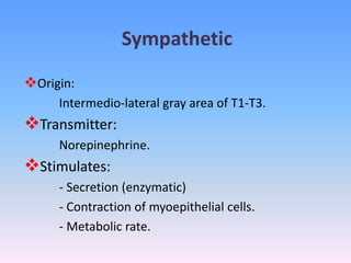 Sympathetic
Origin:
Intermedio-lateral gray area of T1-T3.
Transmitter:
Norepinephrine.
Stimulates:
- Secretion (enzymatic)
- Contraction of myoepithelial cells.
- Metabolic rate.
 