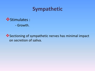 Sympathetic
Stimulates :
- Growth.
Sectioning of sympathetic nerves has minimal impact
on secretion of saliva.
 