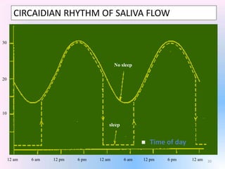 20
CIRCAIDIAN RHYTHM OF SALIVA FLOW
No sleep
sleep
12 am 6 am 12 pm 6 pm 12 am 6 am 12 pm 6 pm 12 am
30
20
10
 Time of day
 
