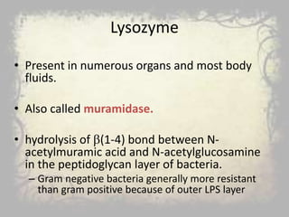 Lysozyme
• Present in numerous organs and most body
fluids.
• Also called muramidase.
• hydrolysis of (1-4) bond between N-
acetylmuramic acid and N-acetylglucosamine
in the peptidoglycan layer of bacteria.
– Gram negative bacteria generally more resistant
than gram positive because of outer LPS layer
 