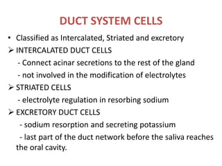 DUCT SYSTEM CELLS
• Classified as Intercalated, Striated and excretory
 INTERCALATED DUCT CELLS
- Connect acinar secretions to the rest of the gland
- not involved in the modification of electrolytes
 STRIATED CELLS
- electrolyte regulation in resorbing sodium
 EXCRETORY DUCT CELLS
- sodium resorption and secreting potassium
- last part of the duct network before the saliva reaches
the oral cavity.
 