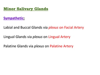 Minor Salivary Glands
Sympathetic:
Labial and Buccal Glands via plexus on Facial Artery
Lingual Glands via plexus on Lingual Artery
Palatine Glands via plexus on Palatine Artery
 