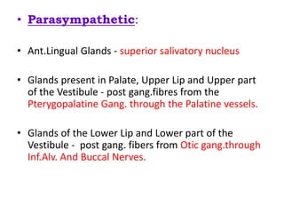 • Parasympathetic:
• Ant.Lingual Glands - superior salivatory nucleus
• Glands present in Palate, Upper Lip and Upper part
of the Vestibule - post gang.fibres from the
Pterygopalatine Gang. through the Palatine vessels.
• Glands of the Lower Lip and Lower part of the
Vestibule - post gang. fibers from Otic gang.through
Inf.Alv. And Buccal Nerves.
 
