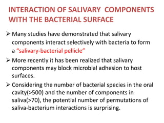 INTERACTION OF SALIVARY COMPONENTS
WITH THE BACTERIAL SURFACE
 Many studies have demonstrated that salivary
components interact selectively with bacteria to form
a “salivary-bacterial pellicle”
 More recently it has been realized that salivary
components may block microbial adhesion to host
surfaces.
 Considering the number of bacterial species in the oral
cavity(>500) and the number of components in
saliva(>70), the potential number of permutations of
saliva-bacterium interactions is surprising.
 